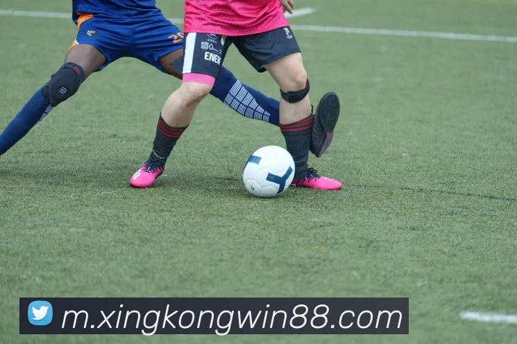 星空体育发展历程